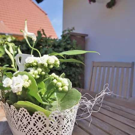 Reetferienhaus Jablonski Bergen Auf Rugen